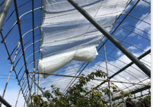 簡易内張遮光システム　ビニスライダー